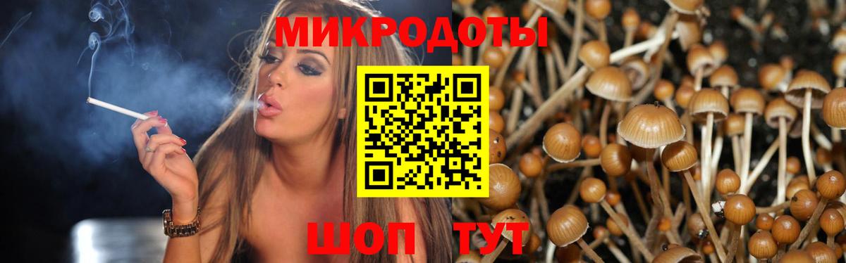 Псилоцибиновые грибы GOLDEN TEACHER Сланцы
